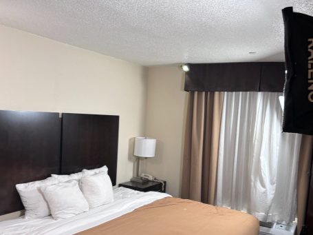 A hotel room with a neatly made bed and a tan comforter, a bedside table with a lamp, used for filming or photography